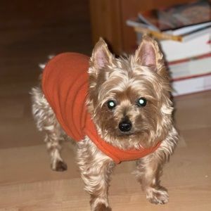 Meet your Posher, Candy